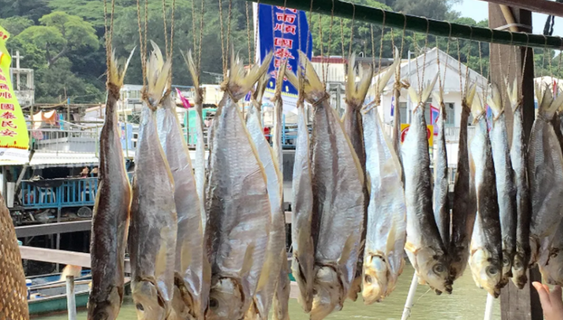 Lantau Island: Big Buddha, Cable-Car and Tai O - Private Full-Day Tour - Foto 2